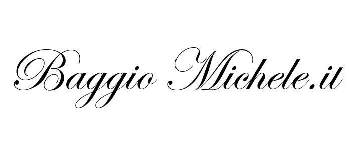 Baggio Michele Logo