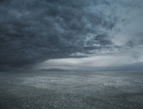 IKIGAI una scelta di “PROPOSITO”